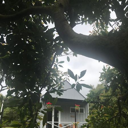 Paradise Grove Whangamata Εξωτερικό φωτογραφία