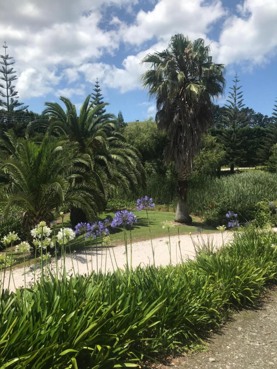 Paradise Grove Whangamata Εξωτερικό φωτογραφία