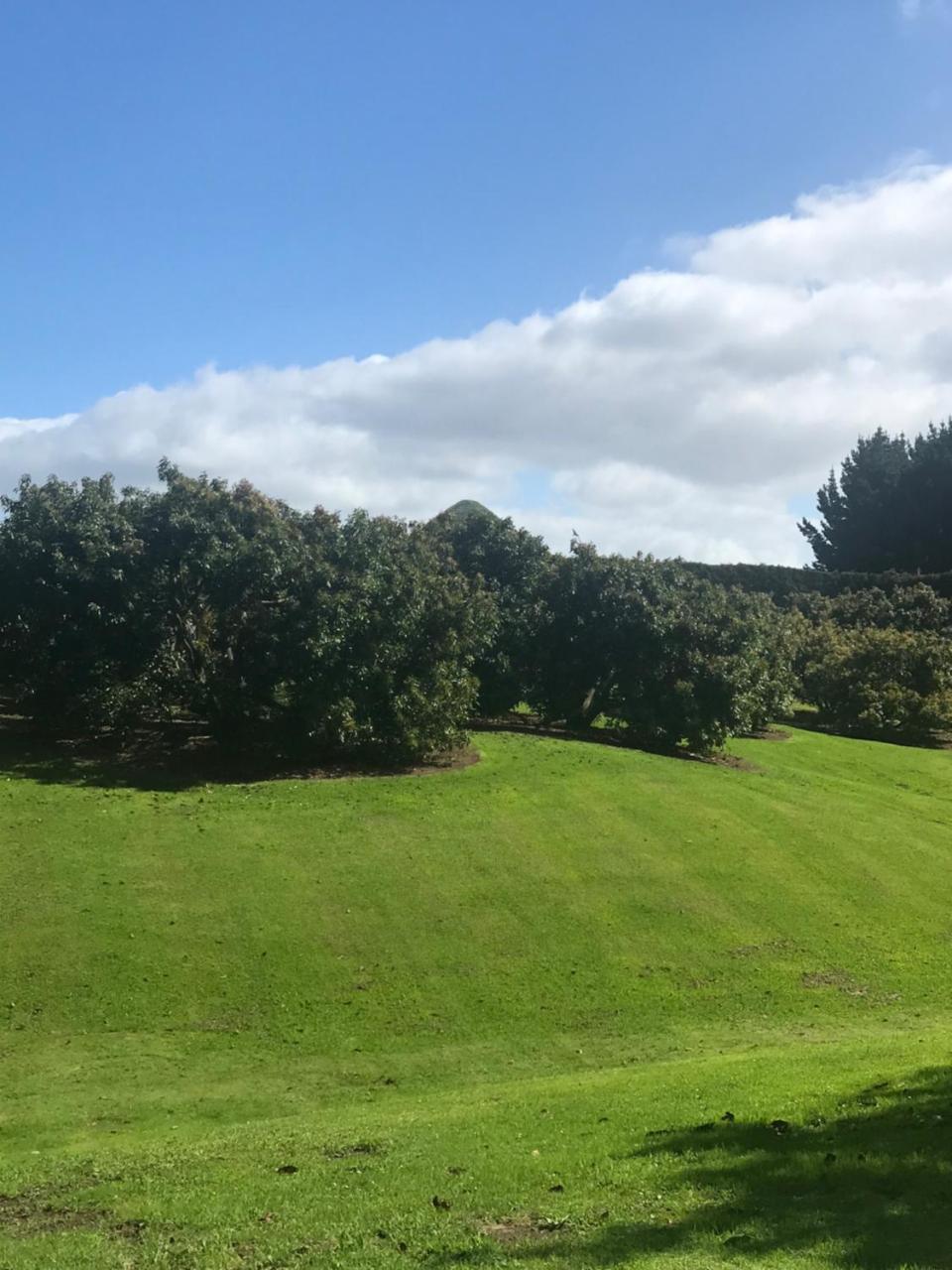 Paradise Grove Whangamata Εξωτερικό φωτογραφία