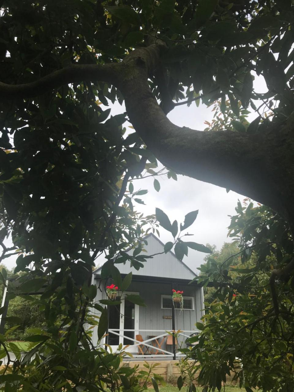 Paradise Grove Whangamata Εξωτερικό φωτογραφία