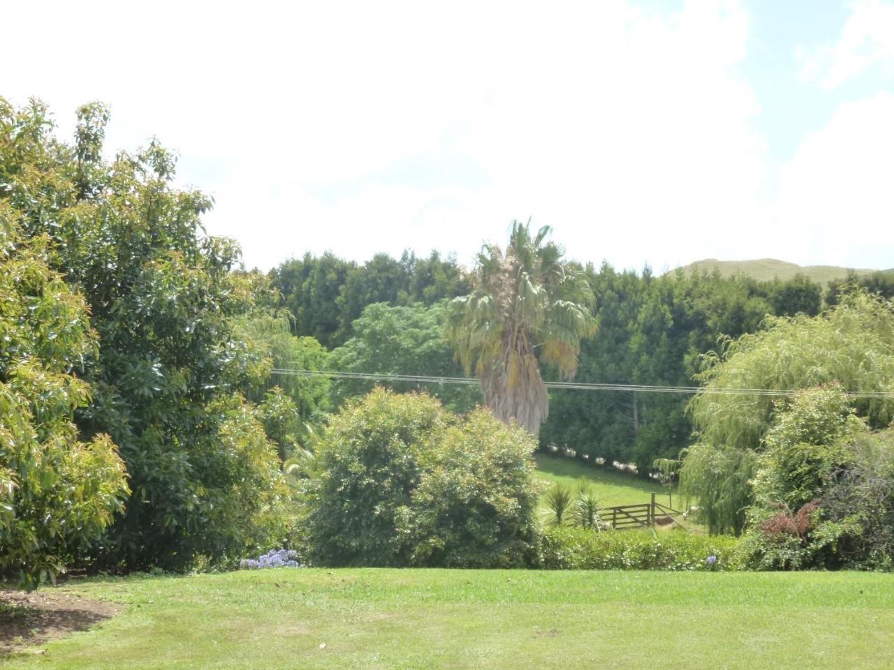 Paradise Grove Whangamata Εξωτερικό φωτογραφία