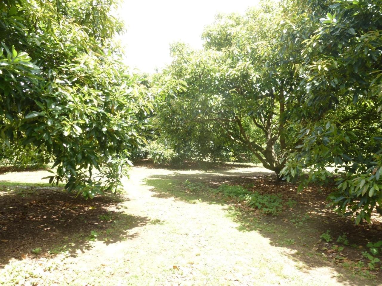 Paradise Grove Whangamata Εξωτερικό φωτογραφία